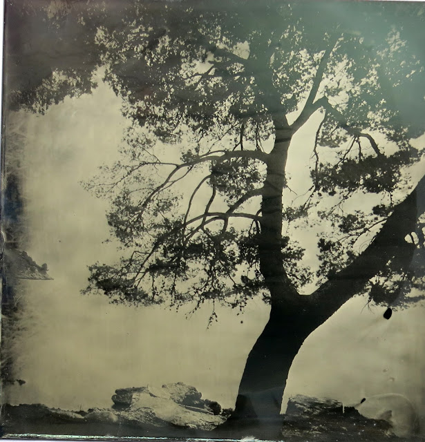 Wet Plate Collodion Photography